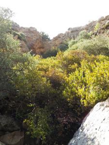 Orino Waterfall dried out