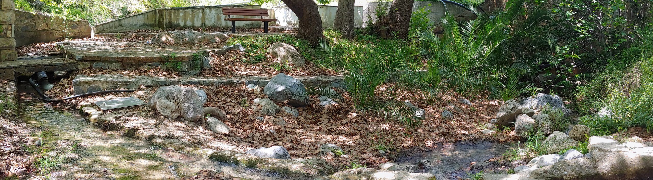 Stone steps and a wooden bench overlook a shallow, rocky creek in a shaded garden. Lush plants and fallen leaves surround the area.