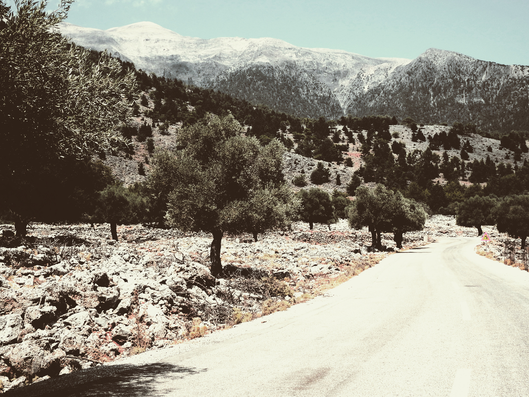 Winding dirt road through a rocky hillside with scattered trees and distant snow-capped mountains under a clear blue sky, left foreground rocky terrain.