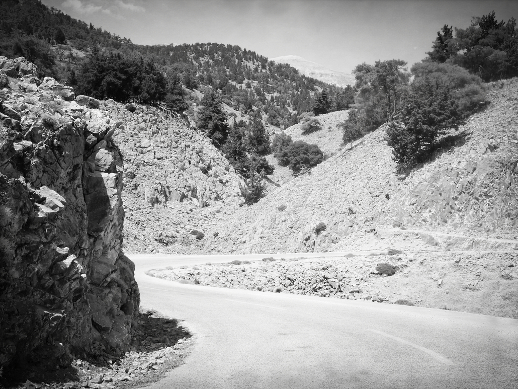Rocky mountain landscape in grayscale with pine trees and a winding road at the base of the slope
